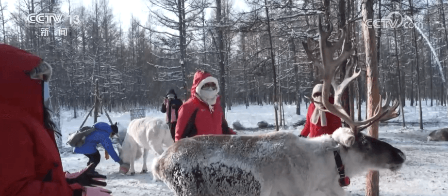 政府推出"冰雪+民俗+美食"组合拳 冬游新热点引发思考