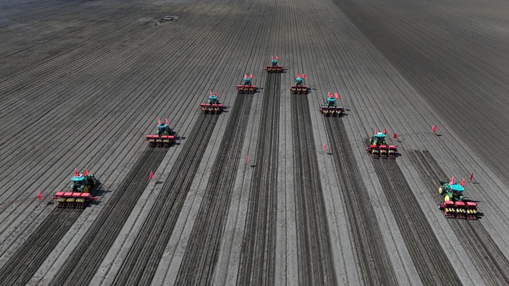 中国拟出台耕地保护法: 为什么“土的命脉在树”?