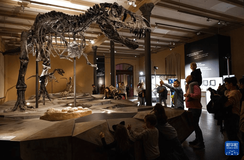 柏林自然历史博物馆开启“科学周”:探索未来,还是固步自封?