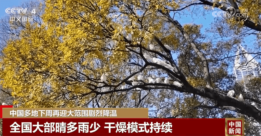 专家预测:近期频发的大范围雨雪天气或将成为常态