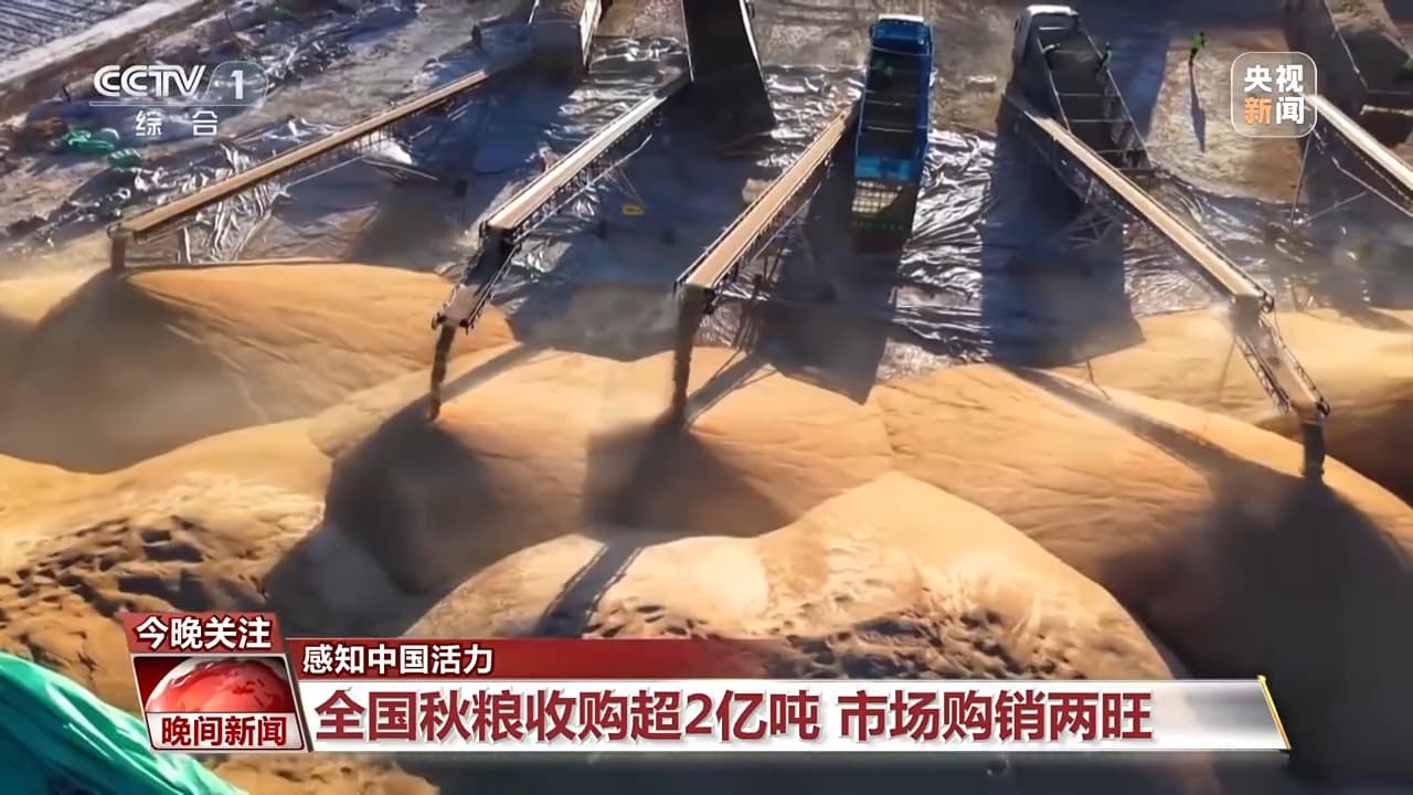 中国经济展现生机:秋粮收购创纪录,“云端电站”点亮未来