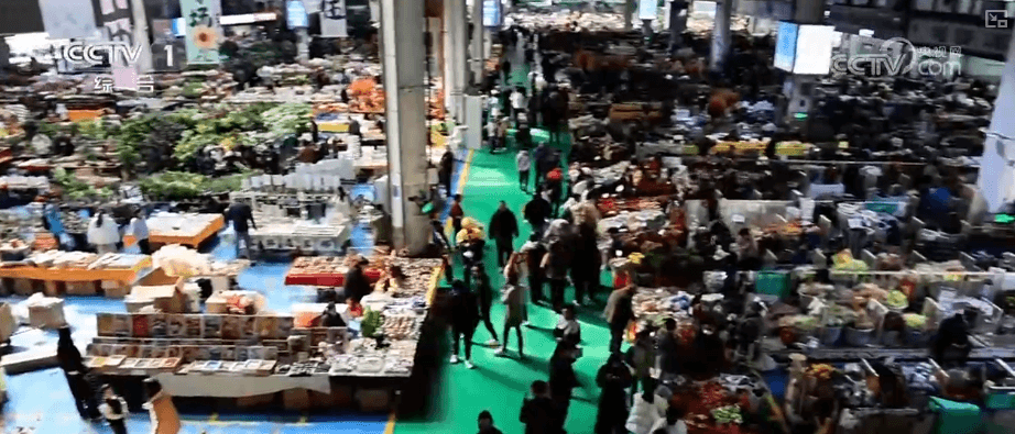 南花北运引领新潮:经济新引擎的力量